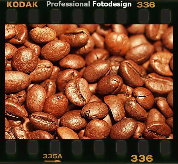Kodak5