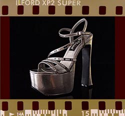 ilford22